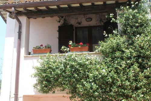 Casa Vacanze Il Gelsomino