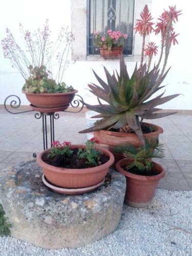 Apartamento Trulli Sarmenzanello