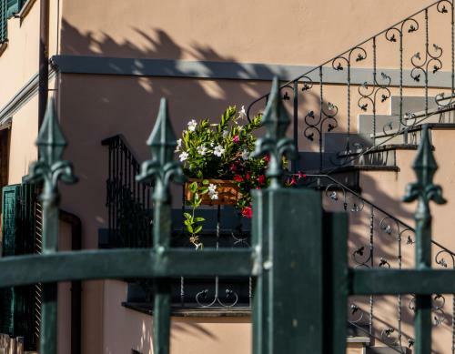 Toscana E Mare - B&B Accogliente I Fiori Di Sara