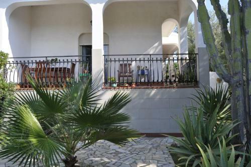 Villa Delle Palme