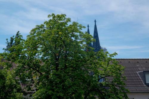 Haus Am Dom - Apartments Und Ferienwohnungen