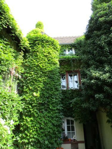Hostal Hotel Burg-stuben