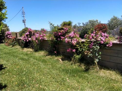 Apartamento Il Giardino Delle Rose A