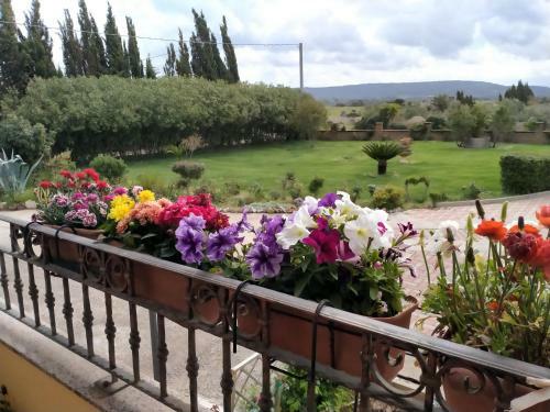 Apartamento Il Giardino Delle Rose A