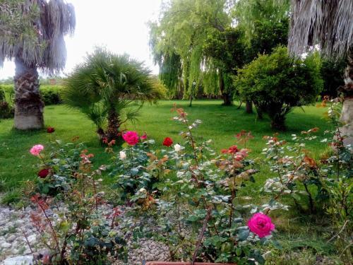 Apartamento Il Giardino Delle Rose A