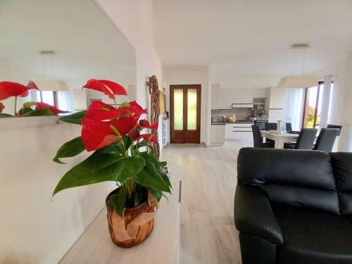 Apartamento Le Grigne Guesthouse - The Garden
