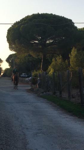 Bed & Breakfast Villa Mariel - Adults Only Giannella Playa