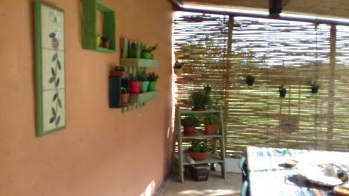 Apartamento Casa Varvis