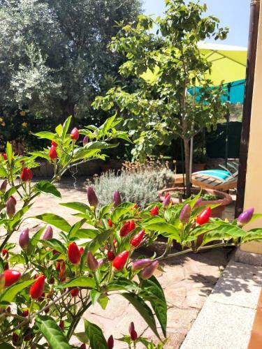 Apartamento Mare Blu