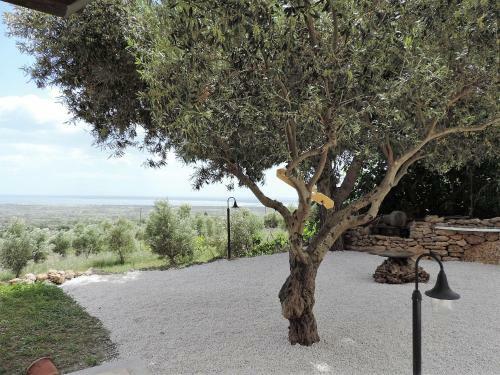 Residenza Belvedere