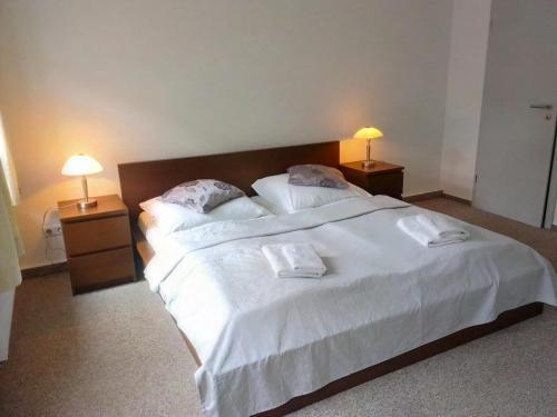 Hostal Pension Altstadt
