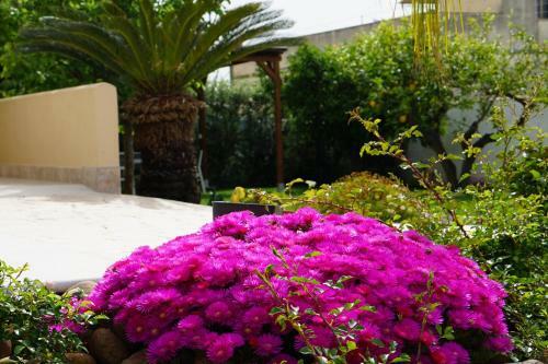 B&B Milena