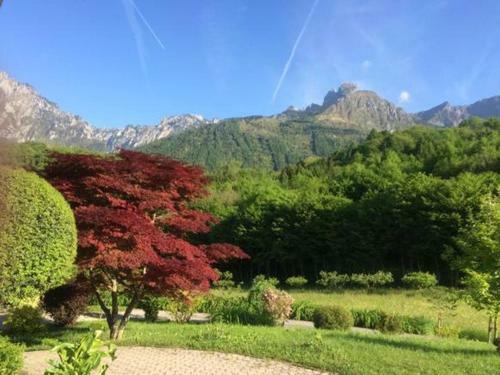 Dolomitas Home