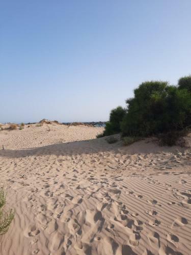 Casa Vacanze Le Dune
