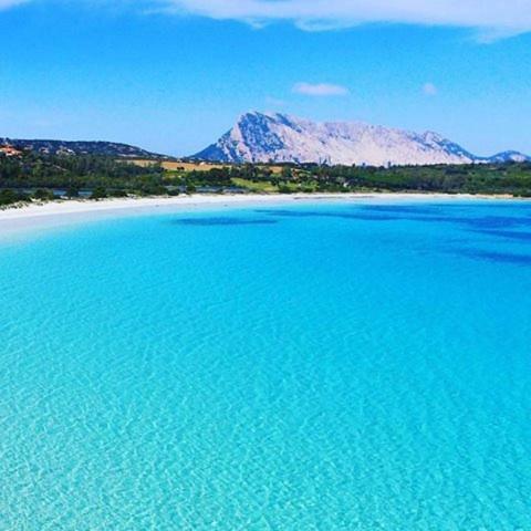 Sardinian Holiday