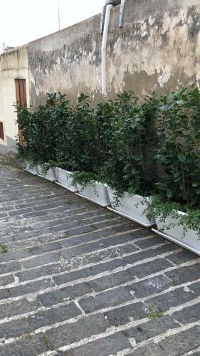 A Casa Da Anita