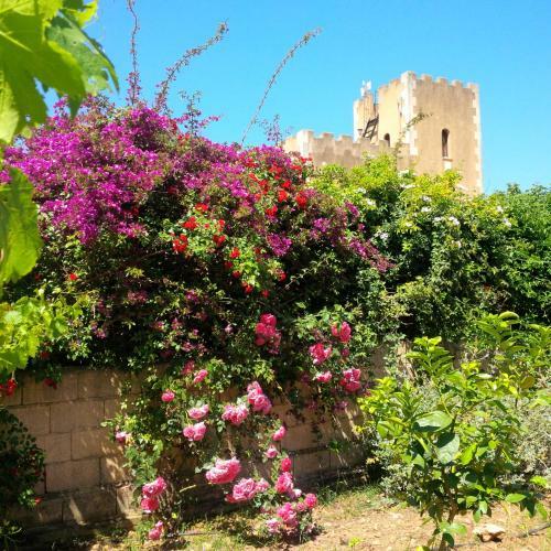 Hotel Son Marimon Adults Only