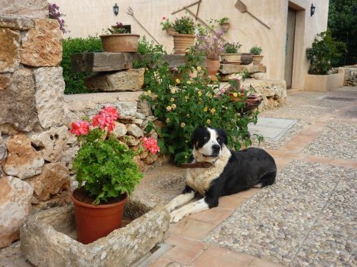 Hotel Son Marimon Adults Only