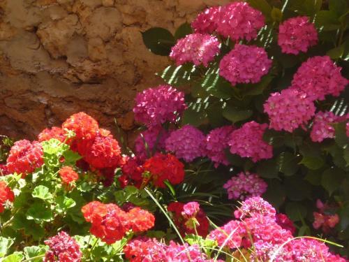 Hotel Son Marimon Adults Only