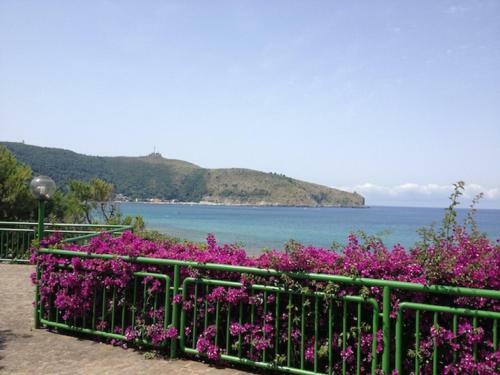 Apartamento Casa Palinuro Vacanze