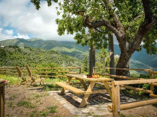 Locazione Turistica Ca' Da Ciassa - Vlo130