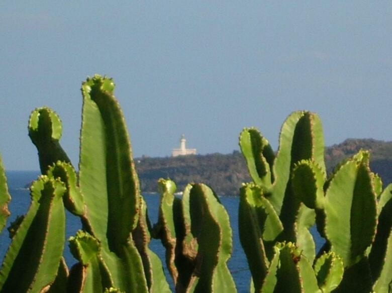 Villa Birbici� Mare