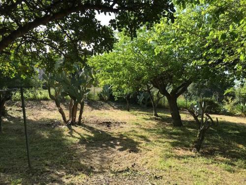 Apartamento L'ulivo In Villa Greco
