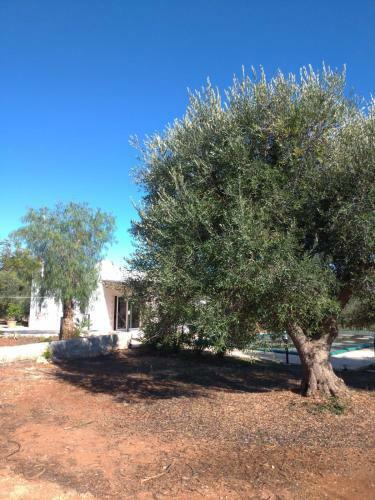 Trullo Felice