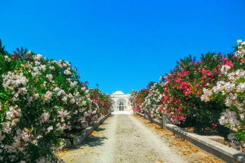 Villa Ganimede Con Piscina E Jacuzzi By Wonderful Italy