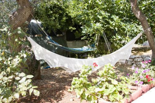 Lodge Ostuni Home Nature