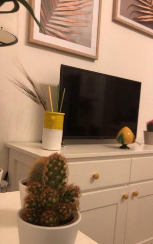 Edyta's Apartment