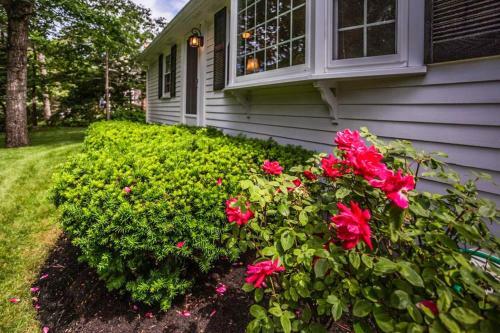 Collingwood Cottage