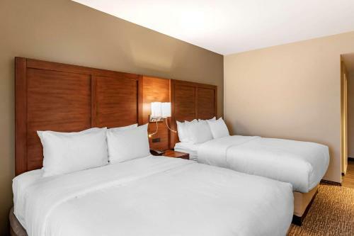 Hotel Comfort Inn & Suites