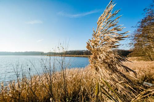 Neu!!! Im Luftkurort-5* Ferienhaus-sauna-see