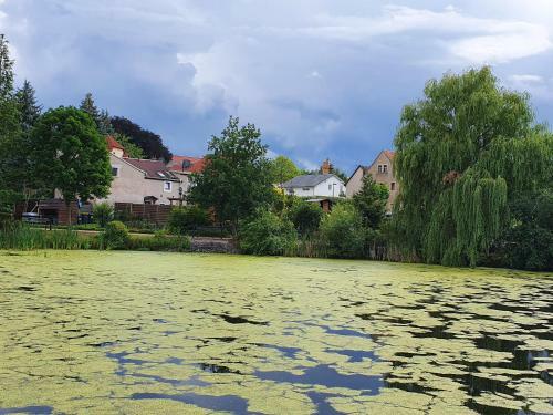 Apartamento Fewo "am Teich"