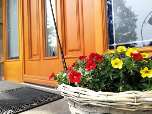 Apartamentos Wandertraum Johann - Fewo Eifel