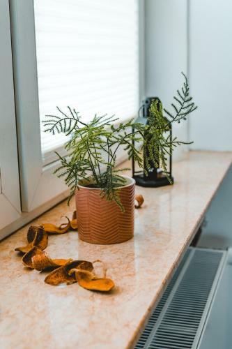 Apartamento Luxus City Wohnung In Park N�he