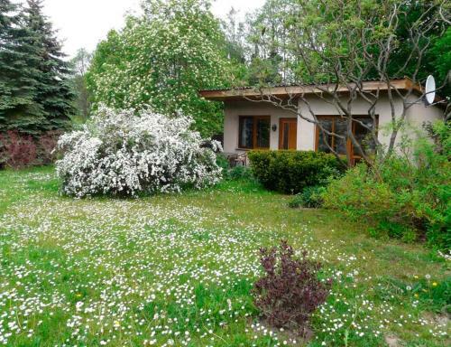 Haus In Kuchelmi�
