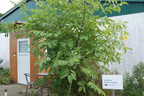 Apartamento Haus Sonnenschein Ziegeleiweg