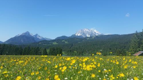 Apartamentos Ferienhaus Alpenzauber