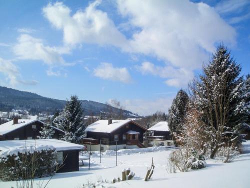 Apartment Am Hohen Bogen-33