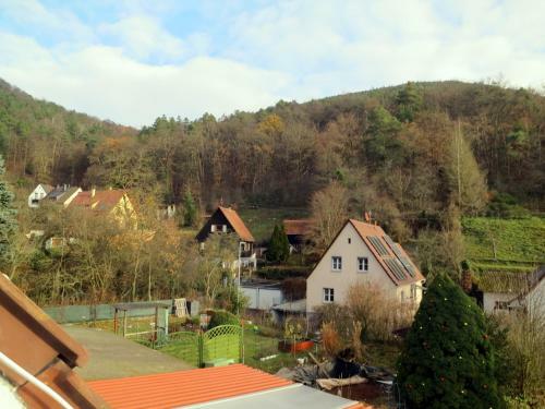 Apartamento Ferienwohnung/monteurwohnung Meiser