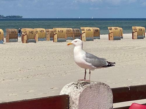 Apartamento Windjammer Eagle