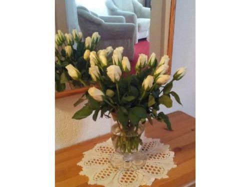 Apartamento Christine