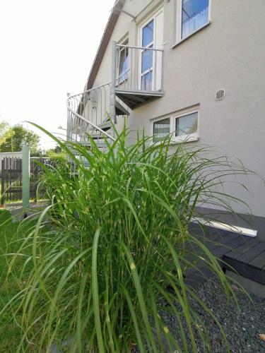 Apartamentos Ferienwohnung Familie Ernst