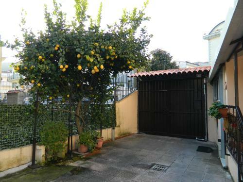 B&B San Pio