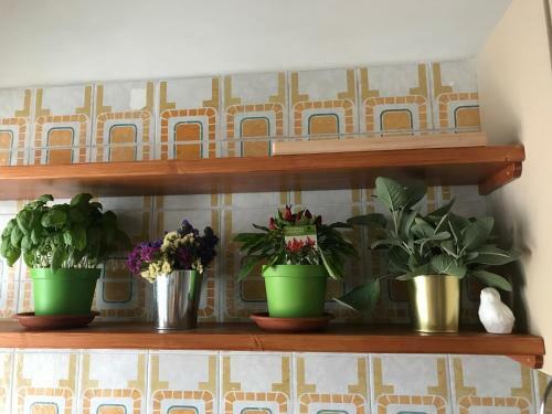 Apartamento Chalet Dell'orso