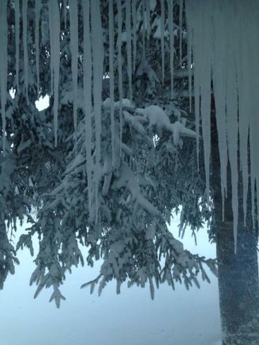 Apartamento Chalet Dell'orso
