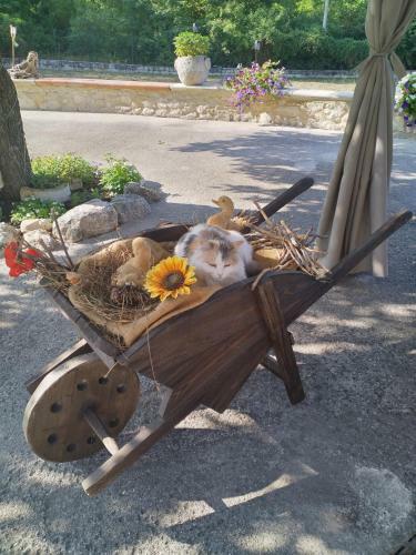 Agroturismo "il Miglio" Country House