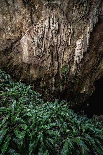 Hostal Guest House Piana Degli Albanesi